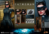 Hot Toys DC Comics Batman The Dark Knight Trilogy The Dark Knight Rises Catwoman Selina Kyle 1/6 Scale 12" Collectible Figure