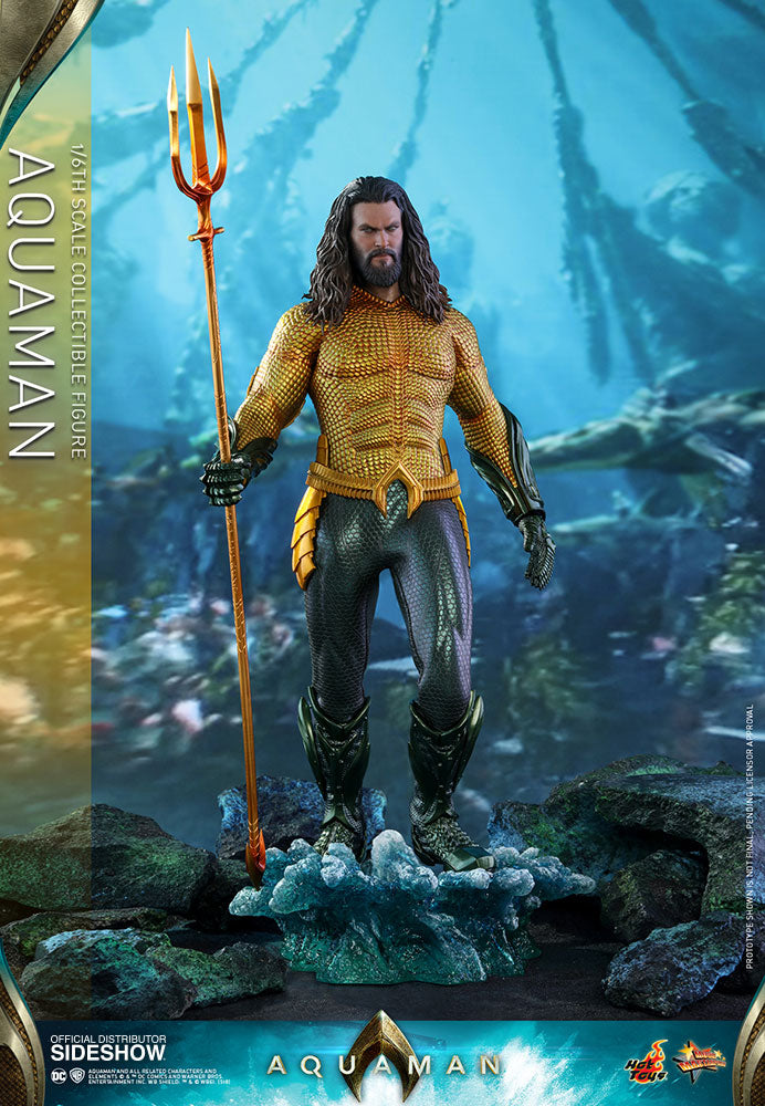 Hot Toys DC Comics Aquaman 1/6 Scale 12 Collectible Figure – Maybang's  Collectibles