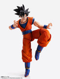 Bandai Tamashii Nations Imagination Works Dragon Ball Z Goku 1/9 Scale 7" Action Figure