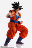 Bandai Tamashii Nations Imagination Works Dragon Ball Z Goku 1/9 Scale 7" Action Figure