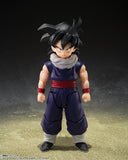 Bandai S.H.Figuarts Dragon Ball Z Gohan Action Figure (With Bonus Z-Fighters Group Base Ver. A)