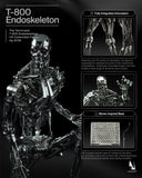 INART The Terminator T-800 Endoskeleton 1/6 Scale 12" Collectible Action Figure