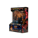 Jada Toys Ultra Street Fighter II The Final Challengers Fei Long 1/12 Scale 6" Action Figure