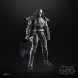 Hasbro Star Wars: The Black Serie Star Wars: The Old Republic Darth Malgus 6" Action Figure