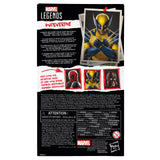 Hasbro Marvel Legends Deadpool & Wolverine Wolverine 6-Inch Action Figure