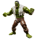 Hasbro Marvel Legends Series Spider-Man: Brand New Day Hulk Action Figure