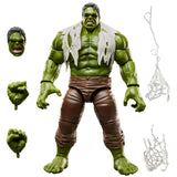Hasbro Marvel Legends Series Spider-Man: Brand New Day Hulk Action Figure