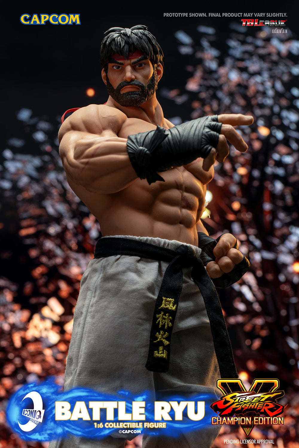 Iconiq Studios Street Fighter V: Champion Edition Iconiq