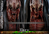 Hot Toys Prey Feral Predator 1/6 Scale Collectible Figure