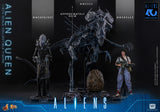 Hot Toys 1986 Aliens 40th Anniversary Alien Queen 1/6 Scale Collectible Figure