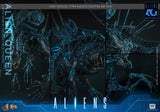 Hot Toys 1986 Aliens 40th Anniversary Alien Queen 1/6 Scale Collectible Figure