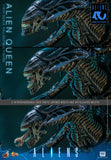 Hot Toys 1986 Aliens 40th Anniversary Alien Queen 1/6 Scale Collectible Figure
