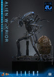 Hot Toys 1986 Aliens 40th Anniversary Alien Warrior (Deluxe Version) 1/6 Scale Collectible Figure