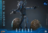 Hot Toys 1986 Aliens 40th Anniversary Alien Warrior (Deluxe Version) 1/6 Scale Collectible Figure