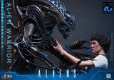 Hot Toys 1986 Aliens 40th Anniversary Alien Warrior (Deluxe Version) 1/6 Scale Collectible Figure
