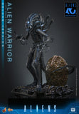 Hot Toys 1986 Aliens 40th Anniversary Alien Warrior (Deluxe Version) 1/6 Scale Collectible Figure