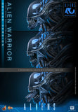 Hot Toys 1986 Aliens 40th Anniversary Alien Warrior (Deluxe Version) 1/6 Scale Collectible Figure