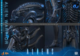Hot Toys 1986 Aliens 40th Anniversary Alien Warrior (Deluxe Version) 1/6 Scale Collectible Figure