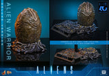 Hot Toys 1986 Aliens 40th Anniversary Alien Warrior (Deluxe Version) 1/6 Scale Collectible Figure
