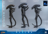 Hot Toys 1986 Aliens 40th Anniversary Alien Warrior (Deluxe Version) 1/6 Scale Collectible Figure