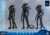 Hot Toys 1986 Aliens 40th Anniversary Alien Warrior (Deluxe Version) 1/6 Scale Collectible Figure