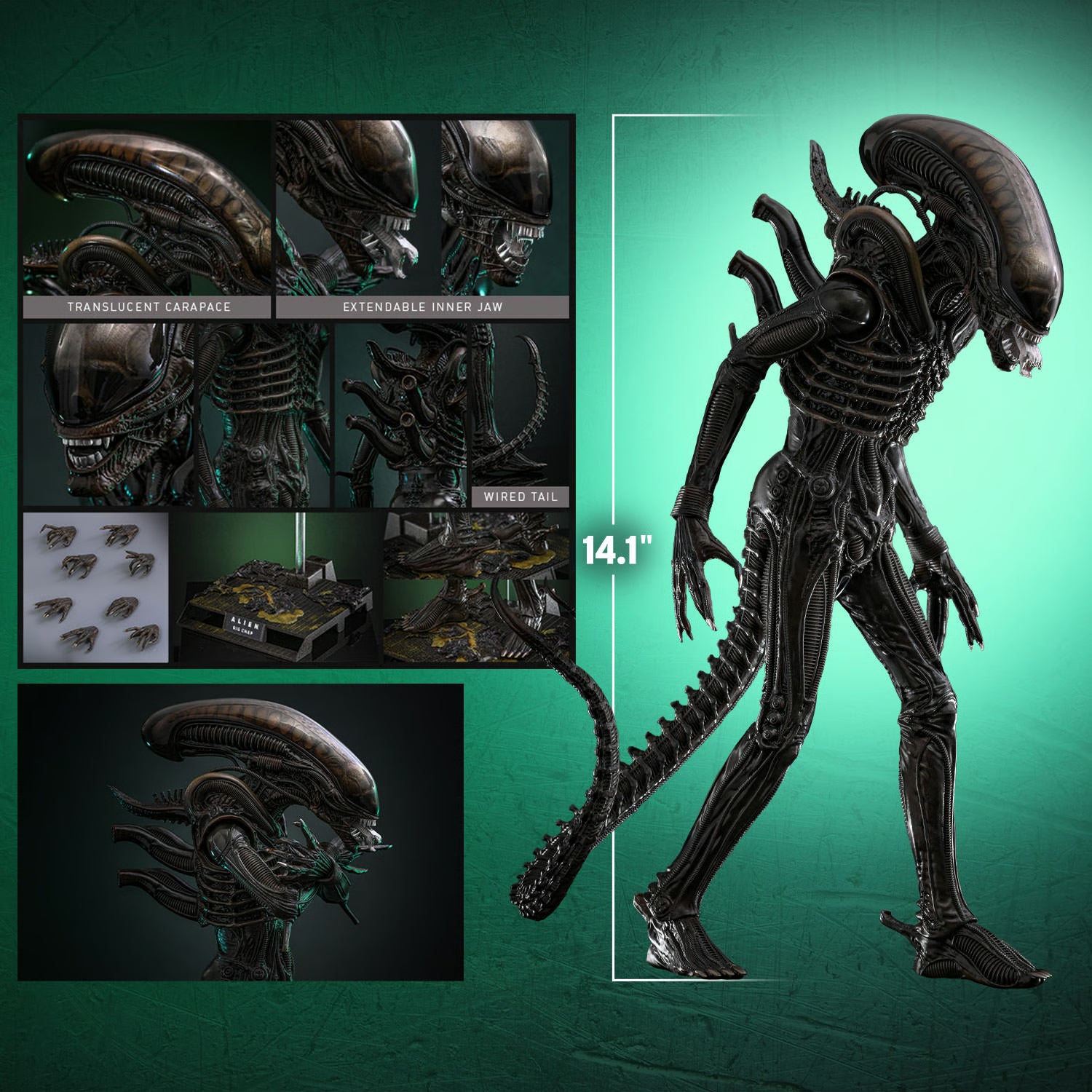 Hot Toys 1979 Alien Alien Big Chap (Xenomorph) 1/6 Scale