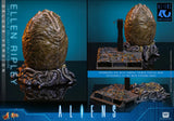 Hot Toys 1986 Aliens 40th Anniversary Ellen Ripley (Deluxe Version) 1/6 Scale 12" Collectible Figure