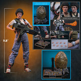 Hot Toys 1986 Aliens 40th Anniversary Ellen Ripley (Deluxe Version) 1/6 Scale 12" Collectible Figure