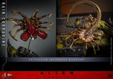 Hot Toys Alien: Romulus Rain Carradine 1/6 Scale Collectible Figure
