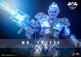 Hot Toys DC Comics Batman & Robin Mr. Freeze 1/6 Scale 12" Collectible Figure