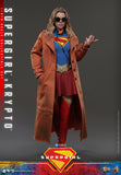 Hot Toys DC Comics Supergirl Supergirl & Krypto 1/6 Scale 12" Collectible Figure Set