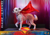 Hot Toys DC Comics Supergirl Supergirl & Krypto 1/6 Scale 12" Collectible Figure Set