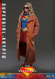Hot Toys DC Comics Supergirl Supergirl & Krypto 1/6 Scale 12" Collectible Figure Set