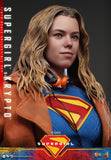 Hot Toys DC Comics Supergirl Supergirl & Krypto 1/6 Scale 12" Collectible Figure Set