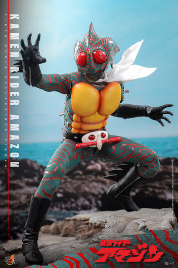 Hot Toys Kamen Rider: Kamen Rider Amazon 1/6 Scale 12