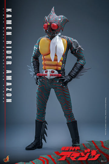 Hot Toys Kamen Rider: Kamen Rider Amazon 1/6 Scale 12