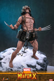 Hot Toys Marvel Comics X-Men Wolverine Weapon X 1/6 Scale 12" Collectible Figure