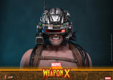 Hot Toys Marvel Comics X-Men Wolverine Weapon X 1/6 Scale 12" Collectible Figure