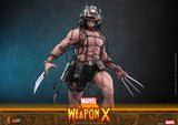 Hot Toys Marvel Comics X-Men Wolverine Weapon X 1/6 Scale 12" Collectible Figure