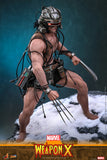 Hot Toys Marvel Comics X-Men Wolverine Weapon X 1/6 Scale 12" Collectible Figure