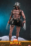 Hot Toys Marvel Comics X-Men Wolverine Weapon X 1/6 Scale 12" Collectible Figure