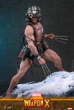 Hot Toys Marvel Comics X-Men Wolverine Weapon X 1/6 Scale 12" Collectible Figure