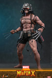 Hot Toys Marvel Comics X-Men Wolverine Weapon X 1/6 Scale 12" Collectible Figure