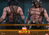 Hot Toys Marvel Comics X-Men Wolverine Weapon X 1/6 Scale 12" Collectible Figure