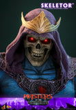 Hot Toys Masters of the Universe Skeletor 1/6 Scale 12" Collectible Figure
