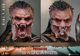 Hot Toys Predator: Badlands Dek and Thia 1/6 Scale 12" Collectible Figure Set