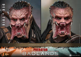 Hot Toys Predator: Badlands Dek and Thia 1/6 Scale 12" Collectible Figure Set