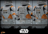 Hot Toys Star Wars: Episode III – Revenge of the Sith 212th Attack Battalion Clone Trooper 1/6 Scale 12" Collectible Figure