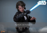 Hot Toys Star Wars Episode III Revenge of the Sith Anakin Skywalker 1/6 Scale 12" Collectible Figure
