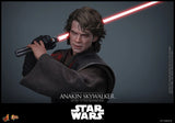 Hot Toys Star Wars Episode III Revenge of the Sith Anakin Skywalker 1/6 Scale 12" Collectible Figure
